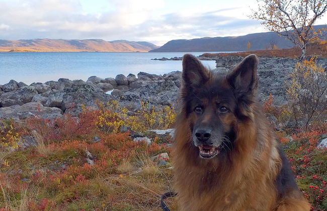 Haus mit 2 Schlafzimmern in Enontekiö - Foto 25
