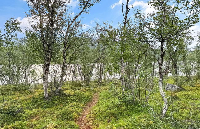 Haus mit 2 Schlafzimmern in Enontekiö - Foto 21