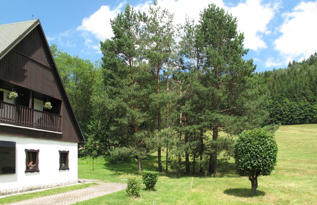 Haus mit 9 Schlafzimmern in Jívka mit garten - Foto 33