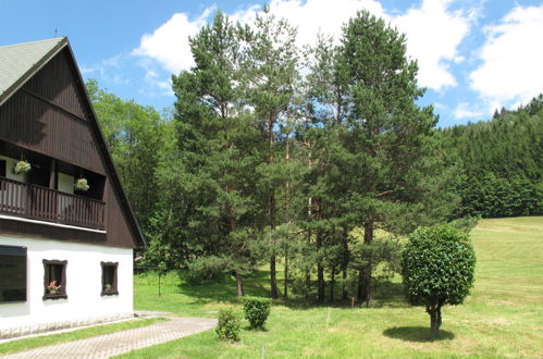 Foto 33 - Casa de 7 habitaciones en Jívka con jardín