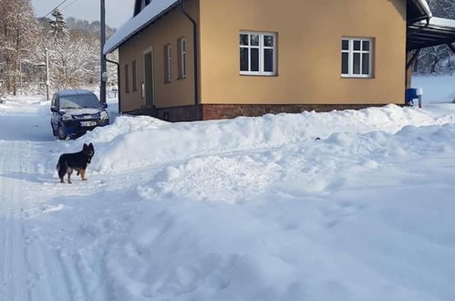 Photo 29 - Appartement de 1 chambre à Rudník avec jardin et vues sur la montagne