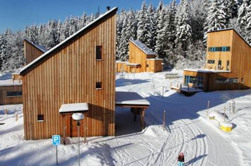 Photo 18 - Maison de 5 chambres à Harrachov avec jardin et terrasse