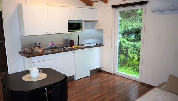 Haus mit 2 Schlafzimmern in Dolní Branná mit garten und terrasse - Foto 3