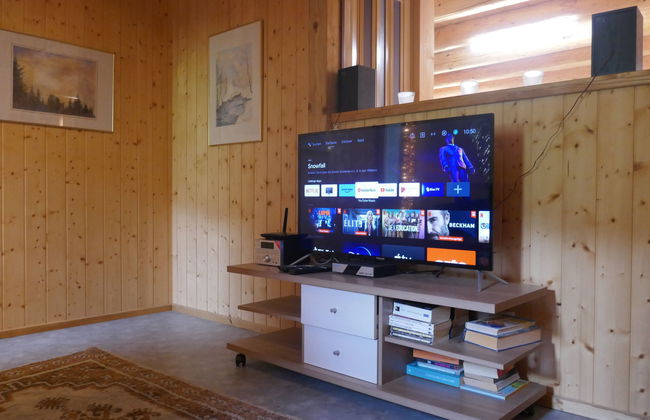 Casa de 2 quartos em Blenio com jardim - Foto 10