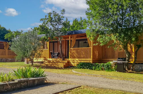 Foto 1 - Casa con 2 camere da letto a Obrovac con piscina e giardino