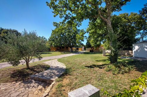 Photo 6 - Maison de 2 chambres à Obrovac avec piscine et jardin