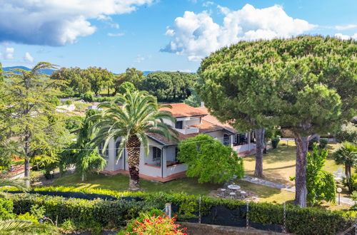 Foto 1 - Appartamento con 2 camere da letto a Casale Marittimo con giardino e terrazza