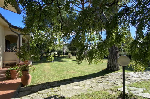 Foto 43 - Appartamento con 2 camere da letto a Casale Marittimo con giardino e terrazza