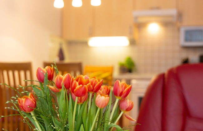 Sonnenküste - Foto 8