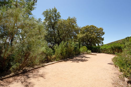 Foto 20 - Appartamento con 1 camera da letto a Roquebrune-sur-Argens con piscina e vista mare