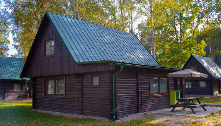 Foto 1 - Casa con 3 camere da letto a Hradec Kralove con giardino