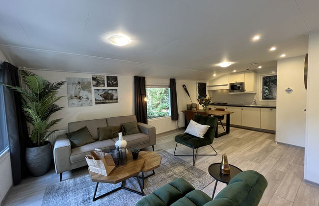 Casa de 3 quartos em Dwingeloo com piscina e terraço - Foto 2