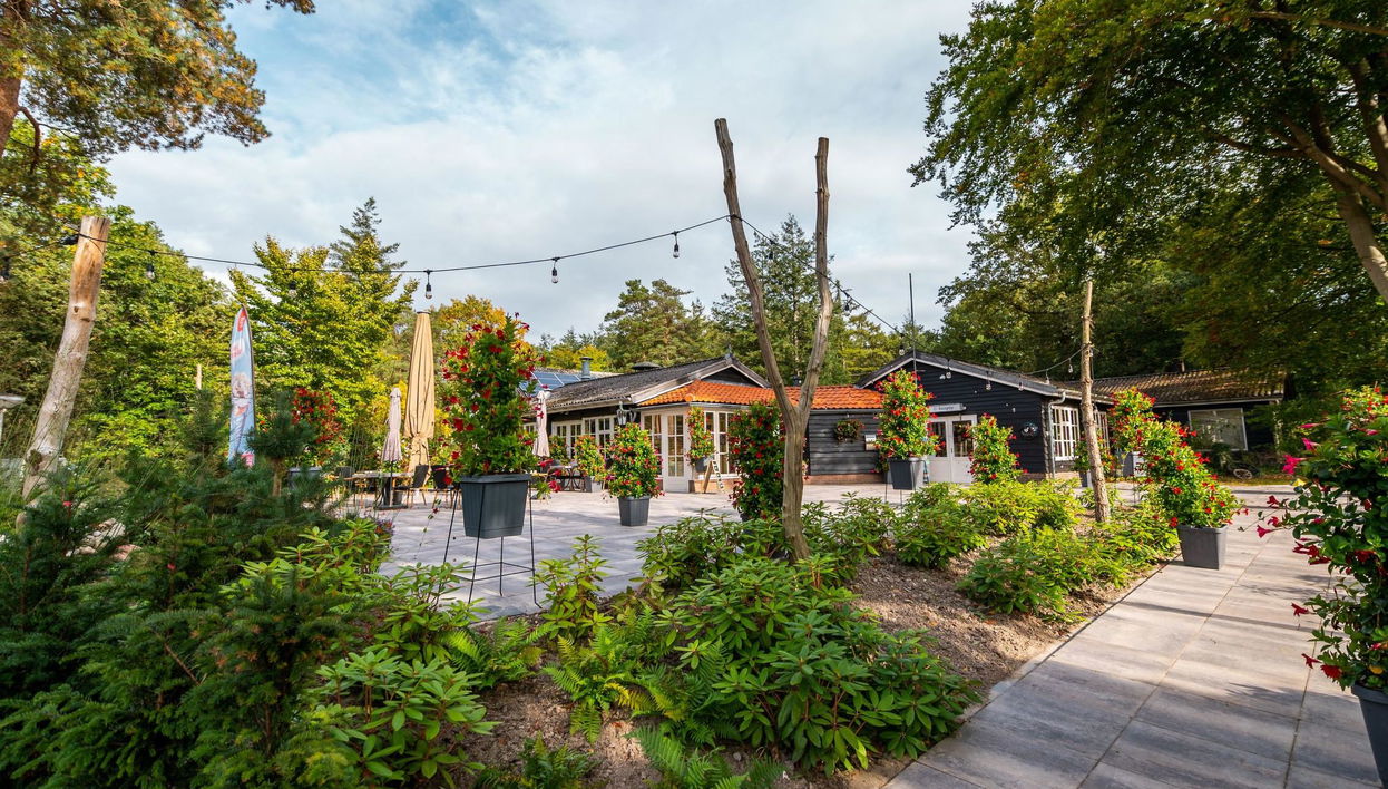 Haus mit 4 Schlafzimmern in Dwingeloo mit schwimmbad - Foto 1