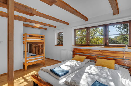 Foto 5 - Casa con 3 camere da letto a Dolní Branná con terrazza e sauna