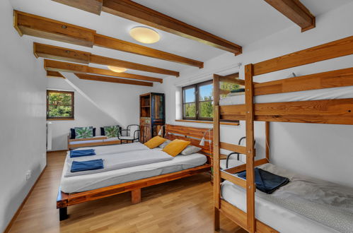 Foto 6 - Casa con 3 camere da letto a Dolní Branná con terrazza e sauna