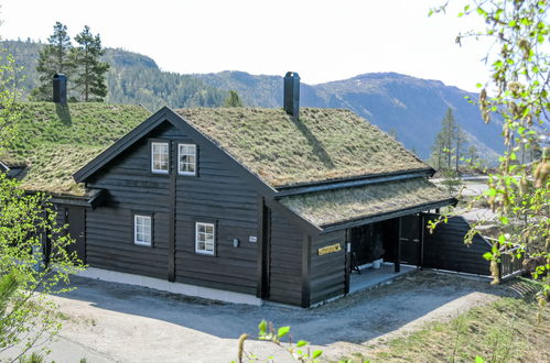 Photo 28 - Maison de 3 chambres à Åseral avec jardin et terrasse