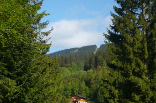 Foto 28 - Casa de 6 quartos em Janské Lázně com terraço e vista para a montanha