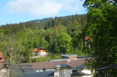 Foto 27 - Casa con 8 camere da letto a Janské Lázně con terrazza e vista sulle montagne