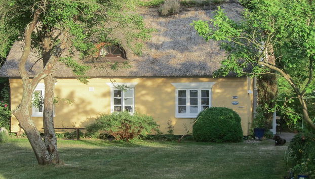 3 bedroom House in Hostrupskov with terrace - Photo 5