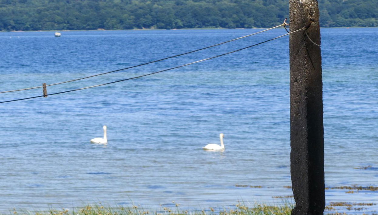 3 bedroom House in Hostrupskov with terrace - Photo 1