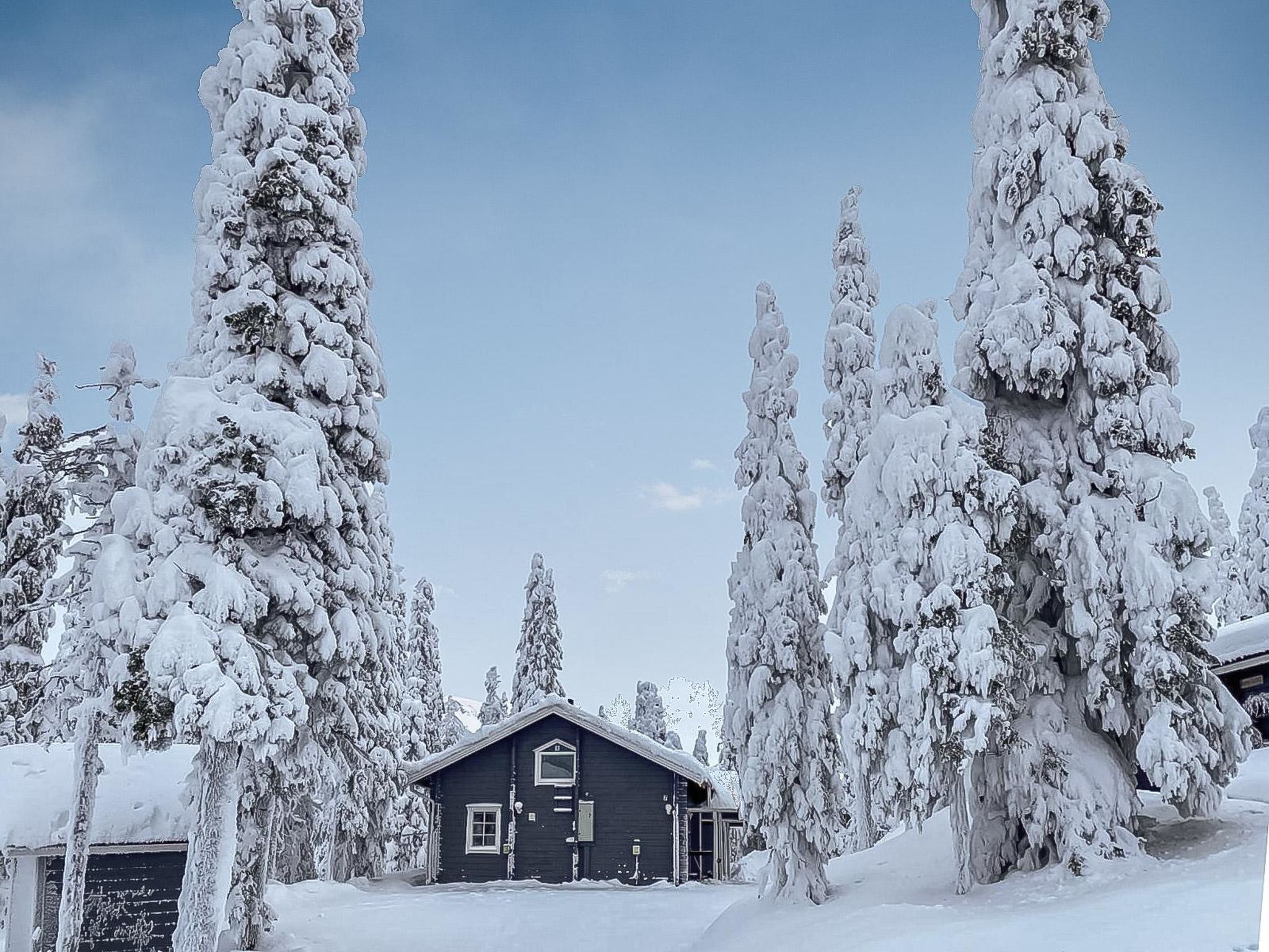 Photo 23 - Maison de 4 chambres à Kuusamo avec sauna