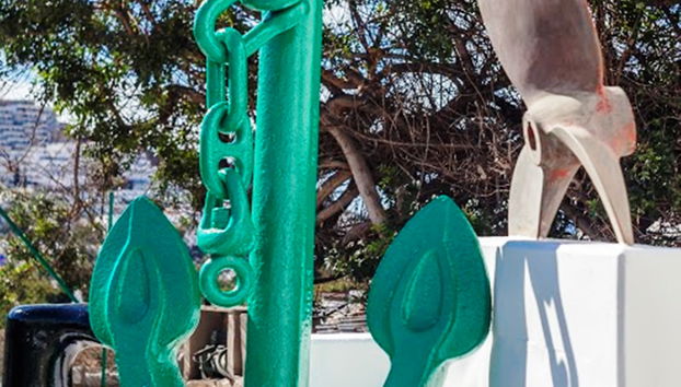 Heliomar Palmeras - Photo 5