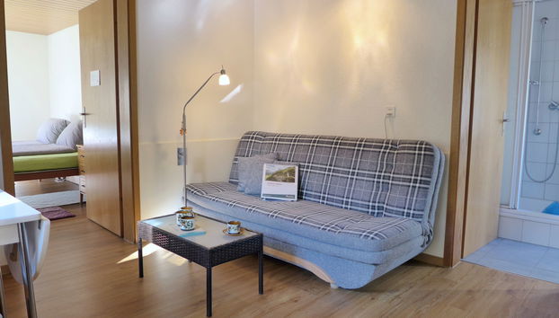 Apartment mit 2 Schlafzimmern in Meiringen mit garten - Foto 4