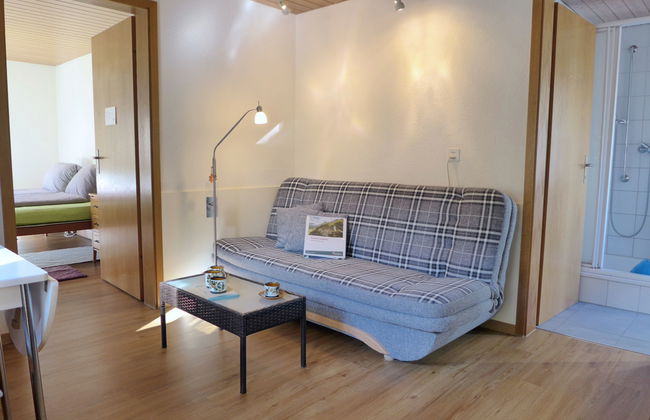 Apartamento de 2 quartos em Meiringen com jardim - Foto 4