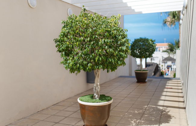 Los Olivos Beach Resort - Foto 3