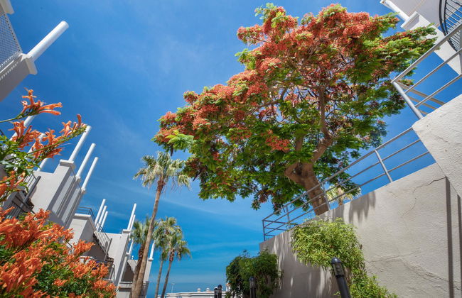 Los Olivos Beach Resort - Foto 2