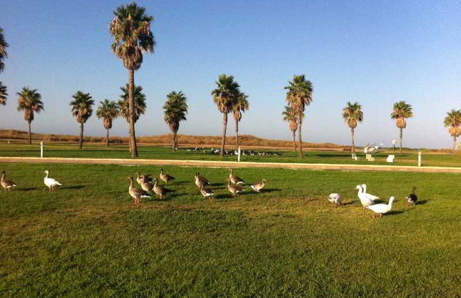 Life Apartments Costa Ballena - Foto 1