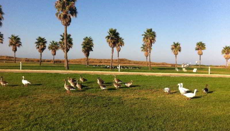 Life Apartments Costa Ballena - Foto 1
