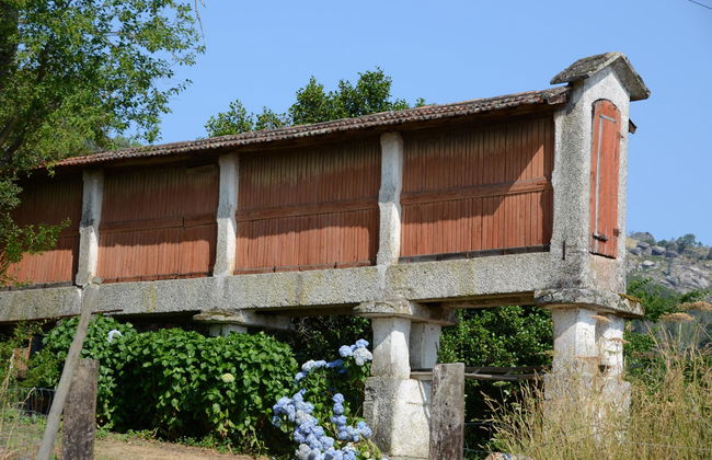 Quinta Do Rapozinho - Foto 4