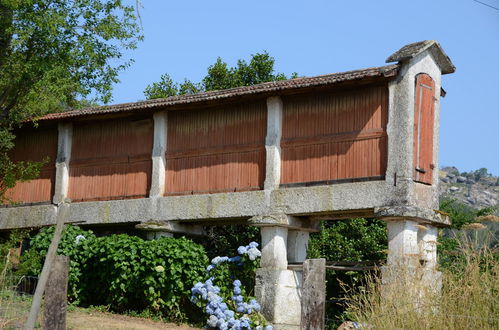 Photo 4 - Quinta Do Rapozinho