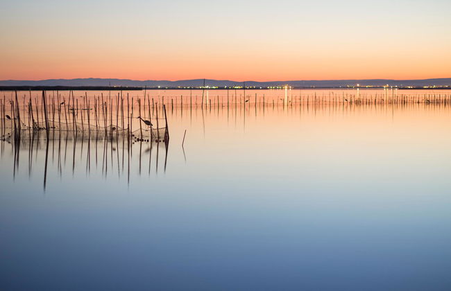 Albufera Apartotel - Foto 24