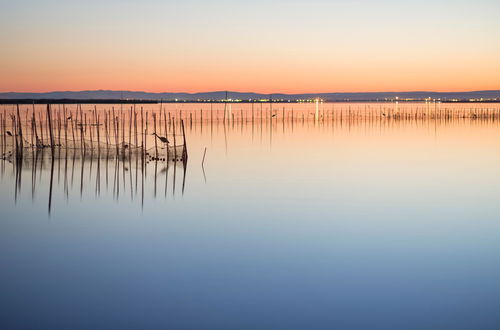 Photo 26 - Albufera Apartotel