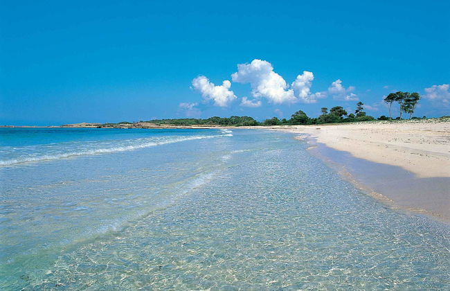 Aparthotel Isla de Cabrera - Foto 48