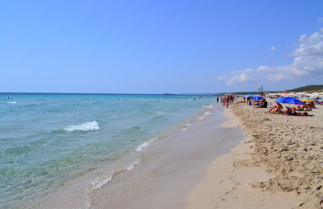 Son Bou Gardens - Foto 42