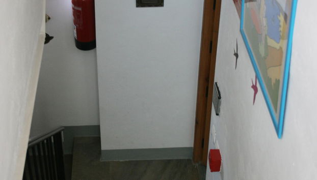 Las Golondrinas de La Alhambra - Foto 5