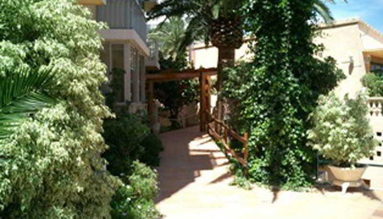 Photo 1 - Palm Court