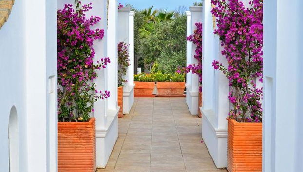 Piedramar - Foto 4