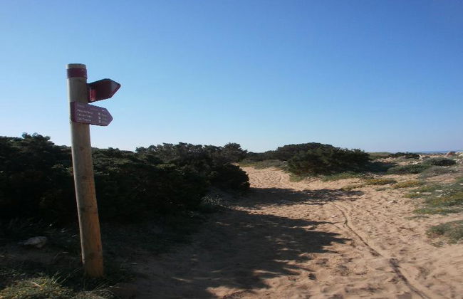 Las Brisas I & II - Foto 62
