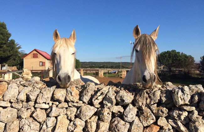 Las Brisas I & II - Foto 64