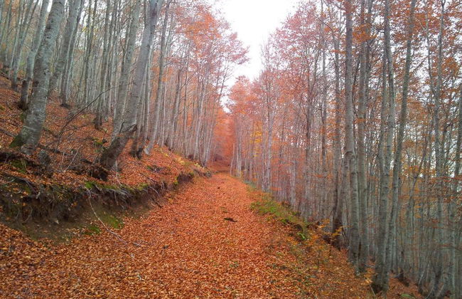 Real Valle Ezcaray - Foto 4