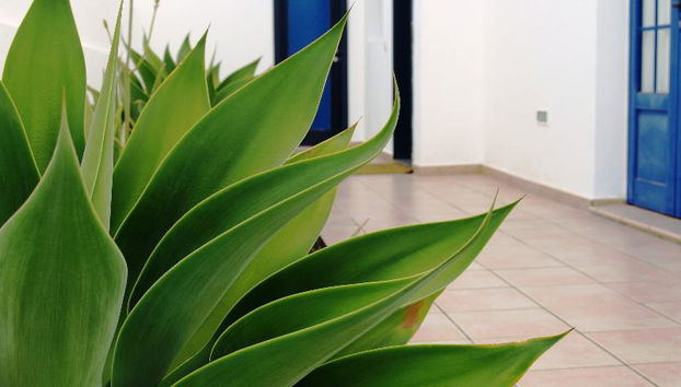 Villas Puerto Rubicon - Foto 4