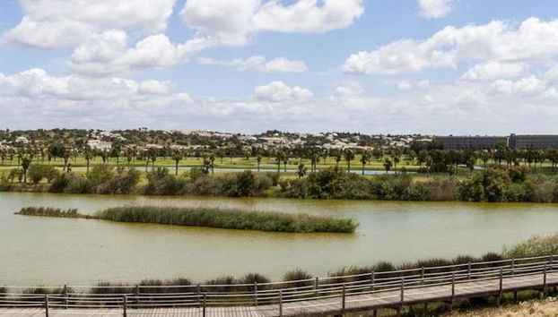 BaySide Salgados - Foto 5