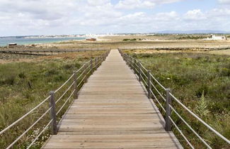 Photo 3 - BaySide Salgados