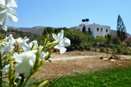 Photo 20 - Matala Bay Apartments