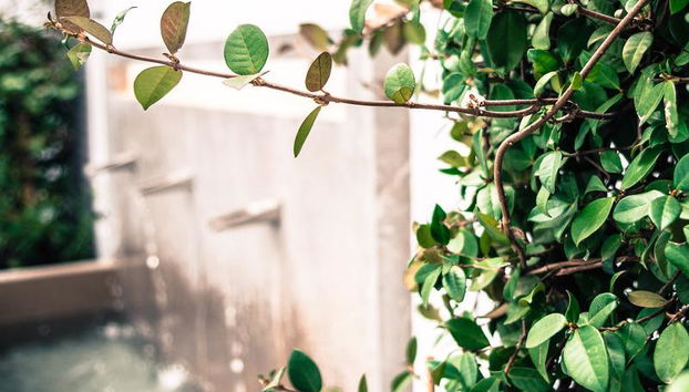 Apartamentos Campo Del Principe - Foto 4