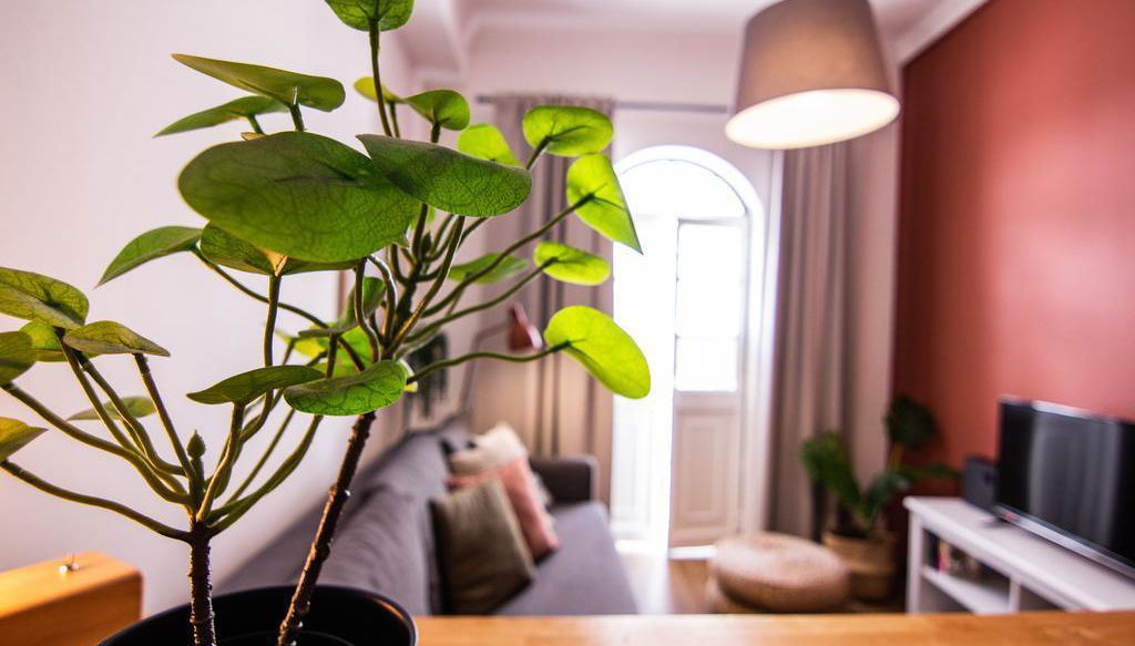 Faro Central Holiday Apartments - Foto 1